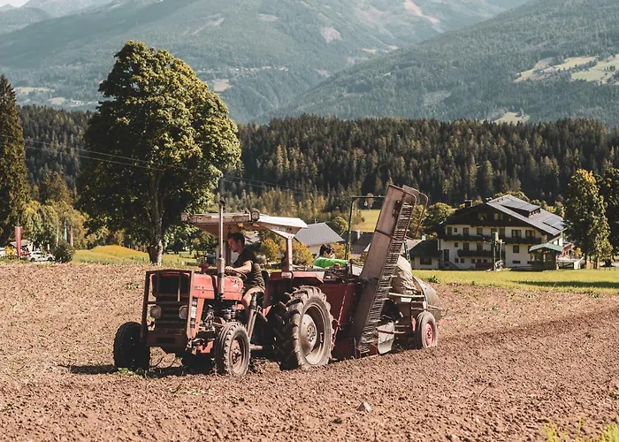 호텔 Bio Feistererhof - Charmant Naturlich Seit 1448 람자우 암 다흐스타인